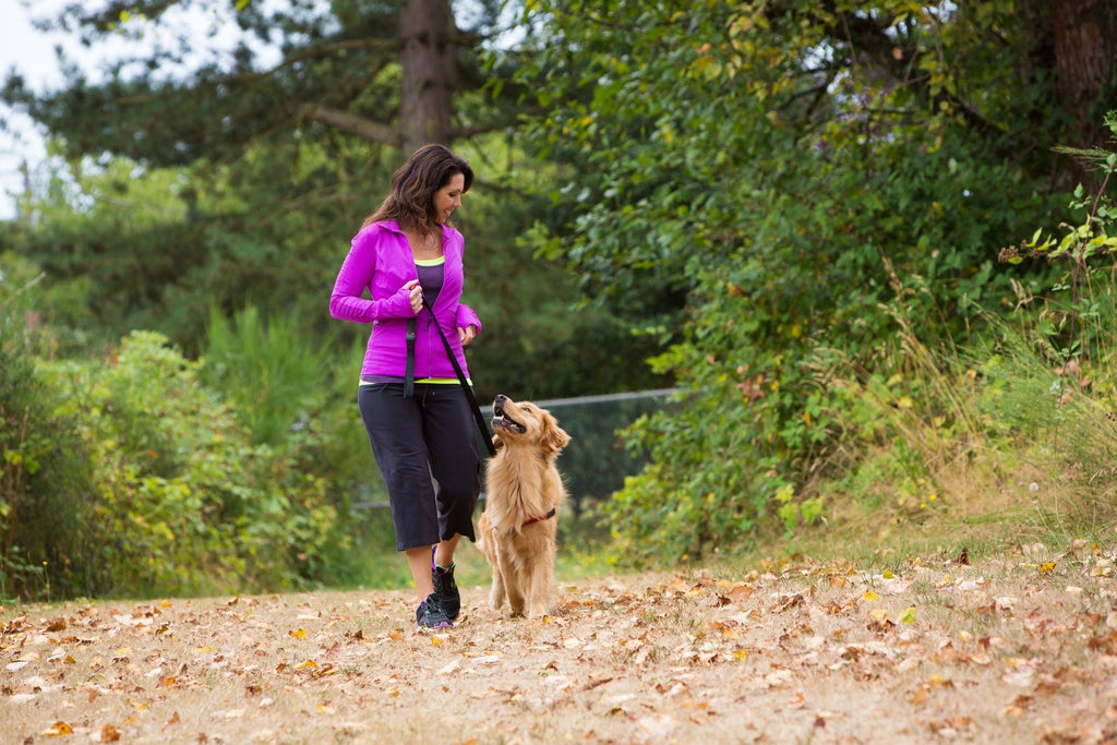 A person walking their dog outdoors.